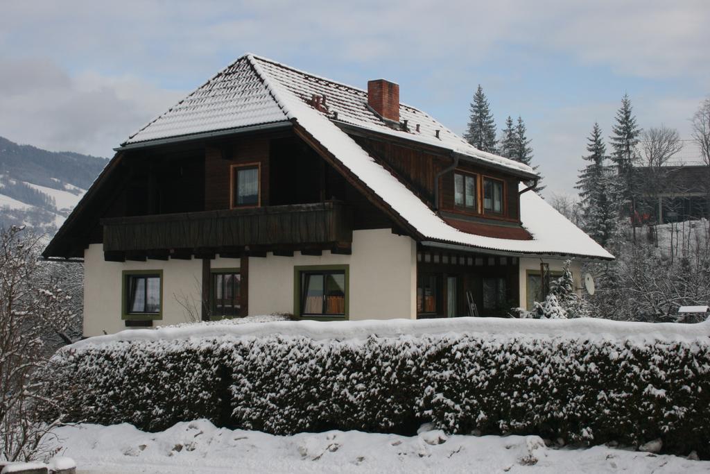 Апартаменты Casa Mia Санкт-Георген-об-Мурау Экстерьер фото